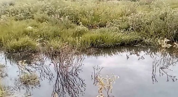 Declaran al Lago de Texcoco como zona natural protegida