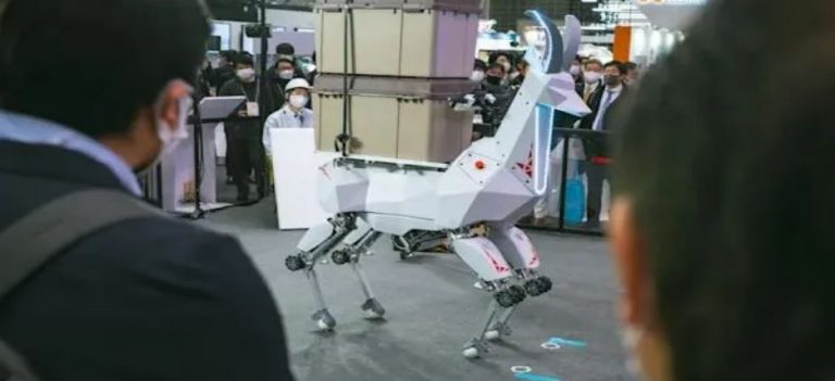Presentan cabra robot