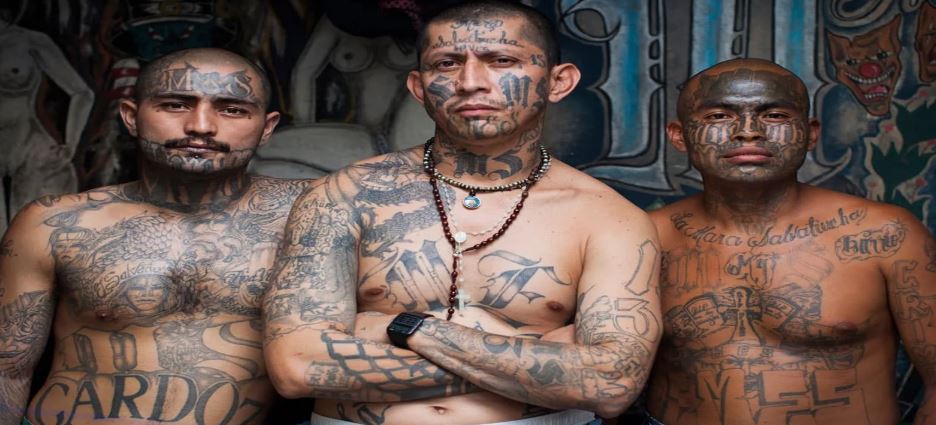 Miembros de la Mara Salvatrucha podrían buscar refugio en México