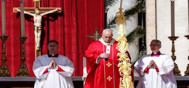 Papa Francisco lamenta “locura de la guerra”