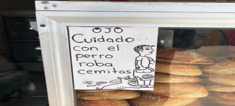 Alertan por perrito ladrón de cemitas