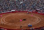 Juez suspende corridas de toros en Plaza México