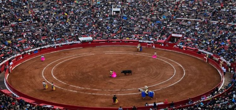 Juez suspende corridas de toros en Plaza México