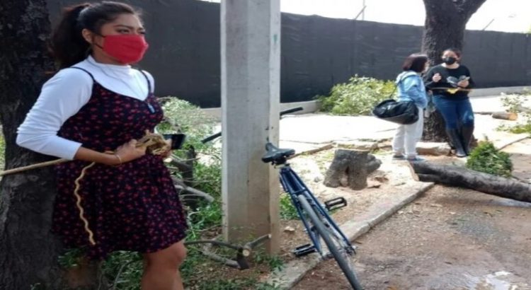 Activistas se amarraron a los árboles donde se construirá la nueva embajada de EE. UU.