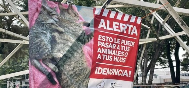 Denuncian envenenamiento de animales en la colonia 10 de Abril