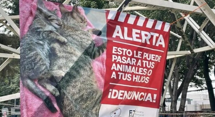 Denuncian envenenamiento de animales en la colonia 10 de Abril