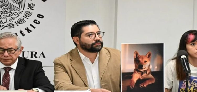 Buscan regular todos los negocios que tengan a su cuidado animales