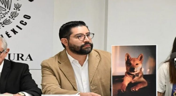 Buscan regular todos los negocios que tengan a su cuidado animales