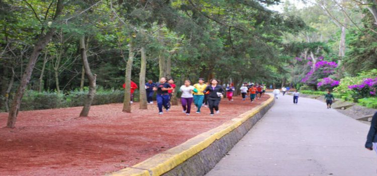 Denuncian asaltos a deportistas en el Bosque de Tlalpan