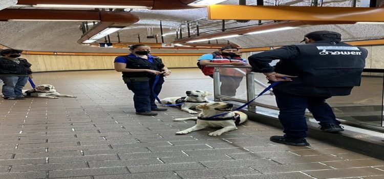 Le prohíben el paso a perros de asistencia en el Metro