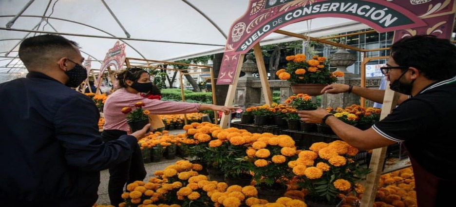 Sedema inaugura el Festival Flores de Otoño