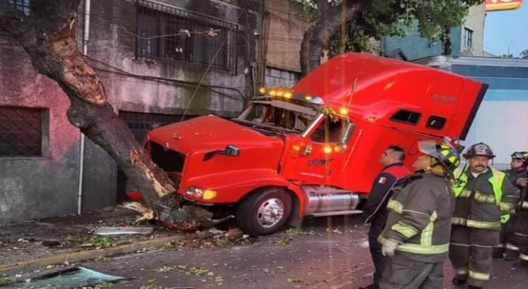 Tráiler se estrella contra árbol en el Circuito Interior