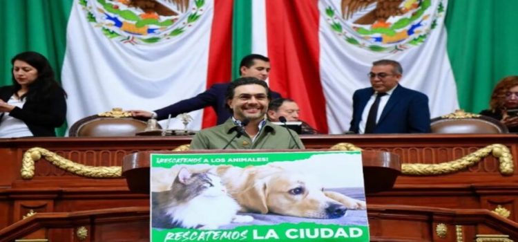 En CDMX proponen iniciativa para que exista convivencia con animales para crear empatía