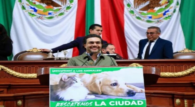 En CDMX proponen iniciativa para que exista convivencia con animales para crear empatía