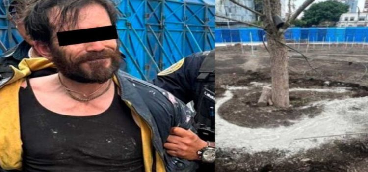 La Fiscalía de CDMX detuvo a un hombre acusado de dañar el ahuehuete de Paseo de la Reforma