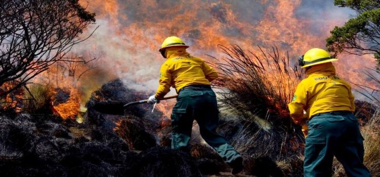 Este 2023 CDMX registra 592 incendios forestales