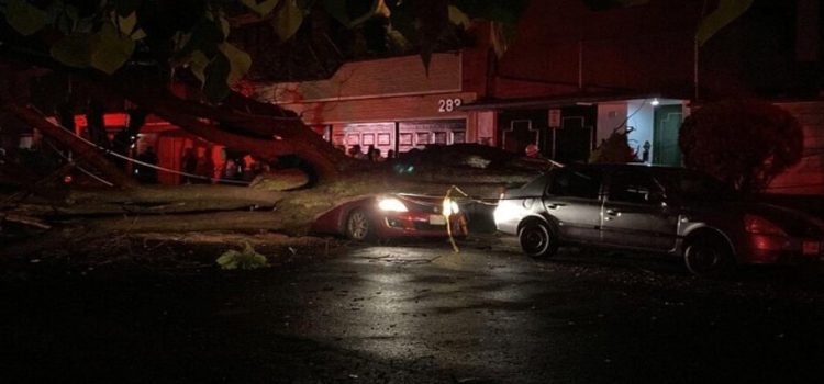 Joven mujer pierde la vida tras caerle un árbol