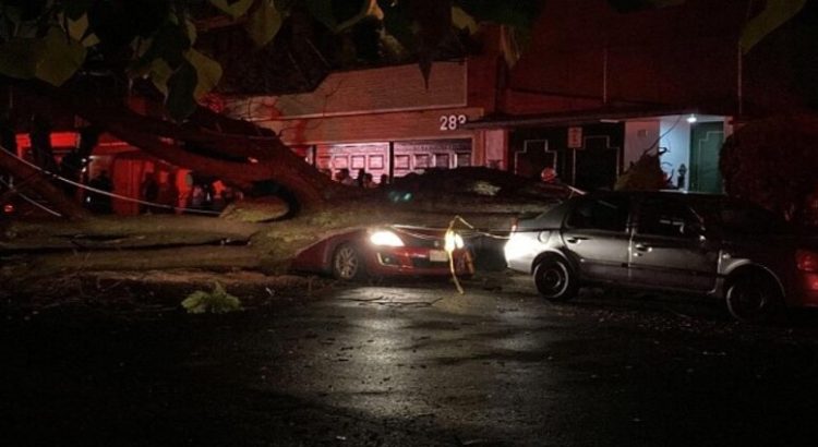 Joven mujer pierde la vida tras caerle un árbol