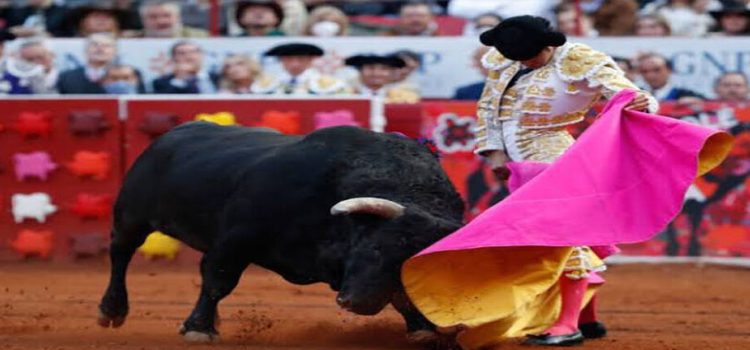 Regresarán las corridas de toros a la Plaza México en CDMX