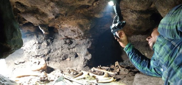 Localizan cueva con depósitos mortuorios al interior del recinto amurallado de Tulum