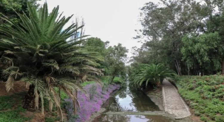 Panistas piden la presencia de la Guardia Nacional en el Canal Nacional en CdMx