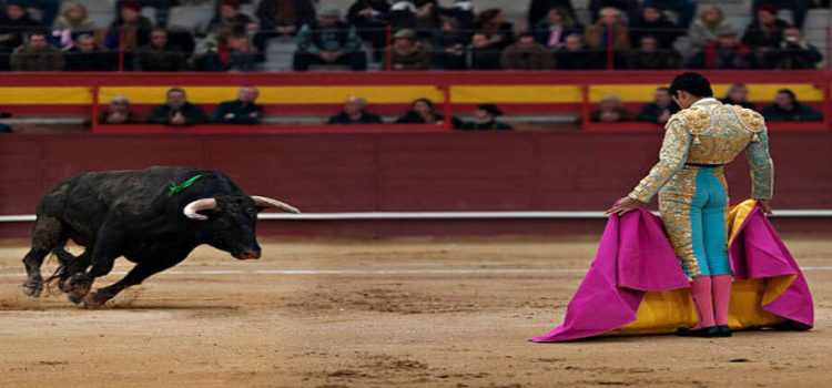 Diputados y asociaciones civiles de CDMX presentan amparo contra las corridas de toros