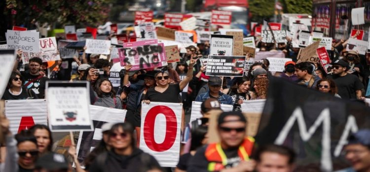 Activistas se manifiestan contra las corridas de toros en CDMX