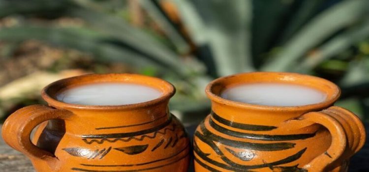 CDMX busca declarar al pulque como patrimonio cultural