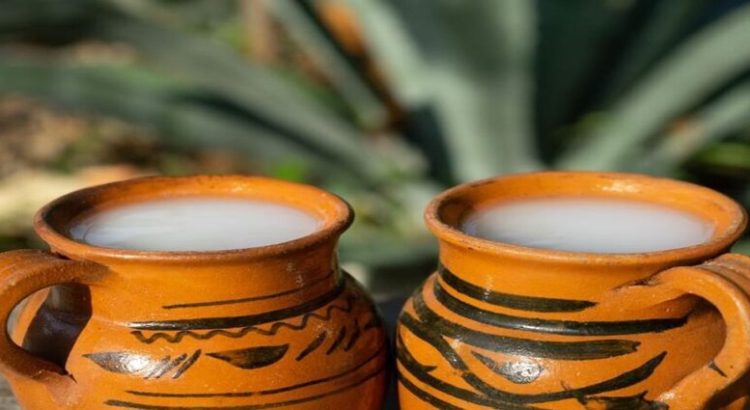 CDMX busca declarar al pulque como patrimonio cultural