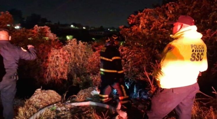 Bomberos controlan incendio en Bosque de Chapultepec