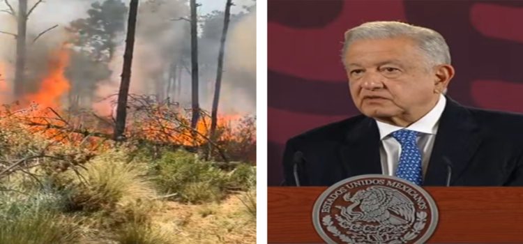 AMLO no descarta que incendios en el país sean provocados por inmobiliarias