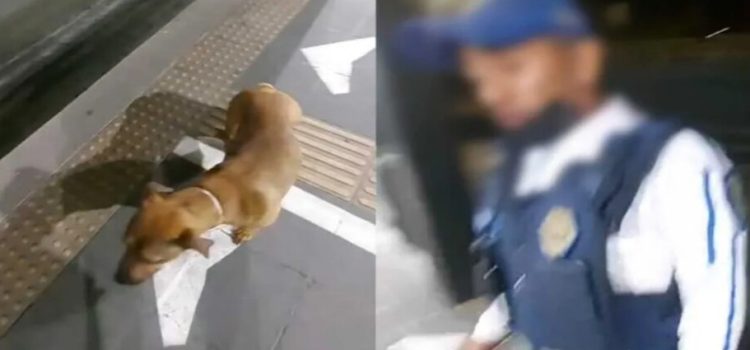 Evidencian a policía golpeando con un palo a un perro en Metrobús de CdMx