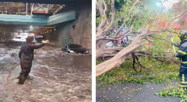 Lluvias en CDMX provocan inundaciones, encharcamientos y caída de árboles