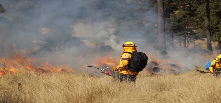 Batres destaca reducción del 50% en la duración de incendios forestales