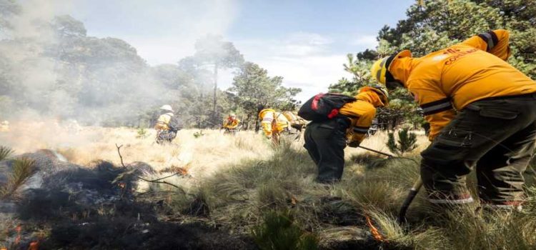 Gobierno de CDMX iniciará medidas para mejorar calidad del aire