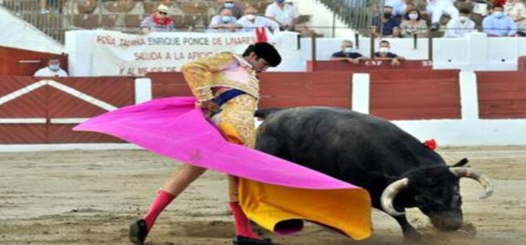 Niegan suspensión definitiva contra corridas de toros en CDMX