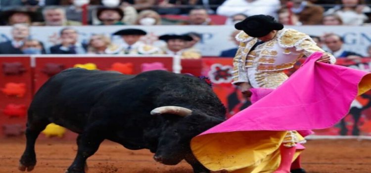 Tribunal revoca suspensión provisional de corridas de toros en CDMX