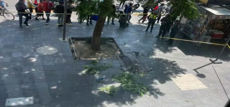 Hombre pierde la vida tras arrojarse de un sexto piso frente a Bellas Artes