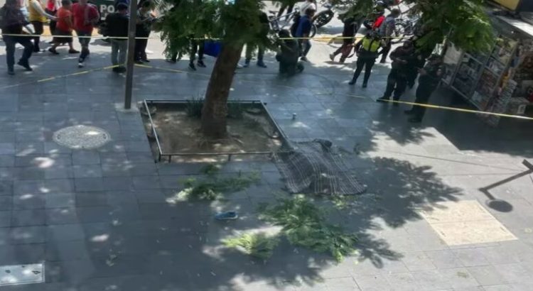 Hombre pierde la vida tras arrojarse de un sexto piso frente a Bellas Artes