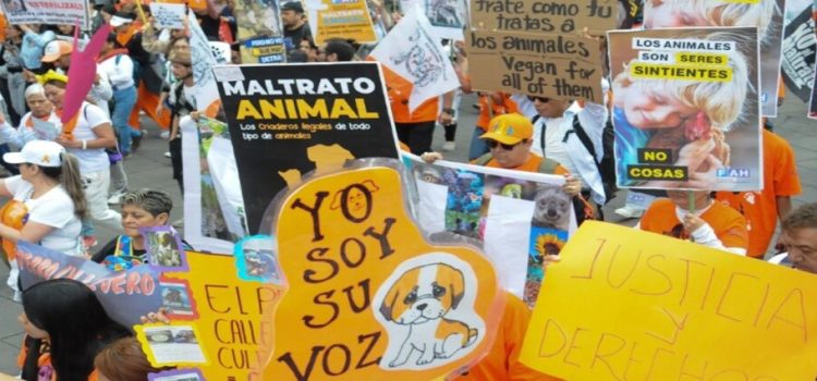 Cientos salieron a marchar contra el maltrato animal