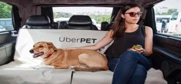 Llega a CDMX Uber Pet