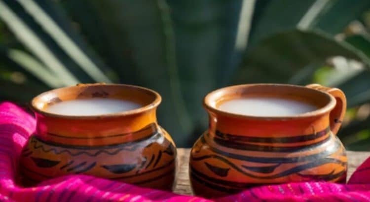 Declaran al proceso de elaboración del pulque como Patrimonio Cultural Inmaterial de CDMX