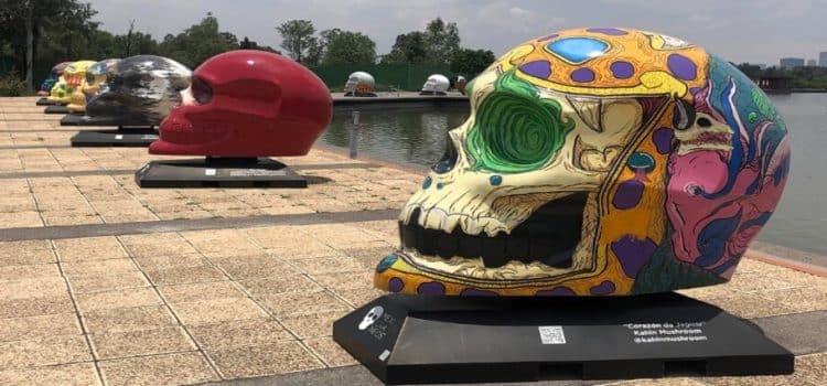 Vuelve a CDMX la expo Mexicráneos, una exhibición de 22 calaveras