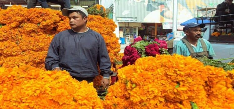 Coparmex CDMX compra 10 mil flores de cempasúchil en apoyo a productores de Xochimilco