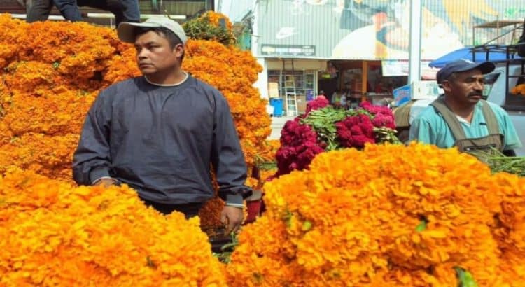 Coparmex CDMX compra 10 mil flores de cempasúchil en apoyo a productores de Xochimilco