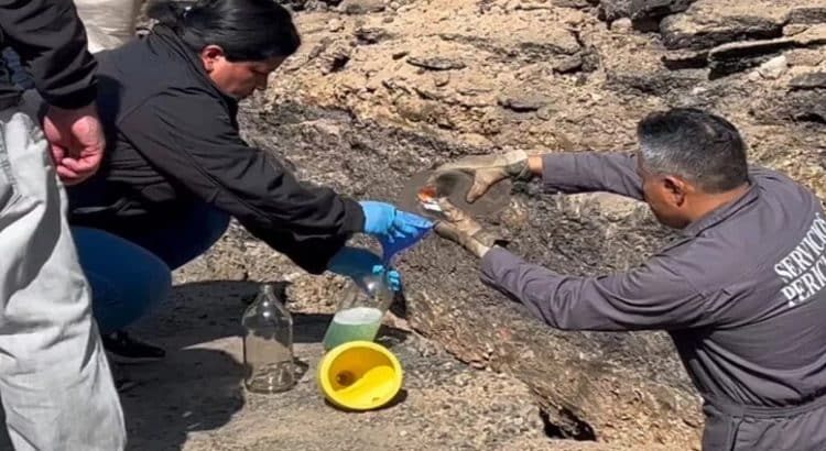 Localizan toma clandestina de hidrocarburo en la GAM