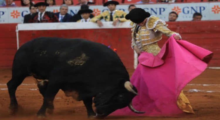 Congreso CDMX aprueba corridas de toros sin violencia entre protestas