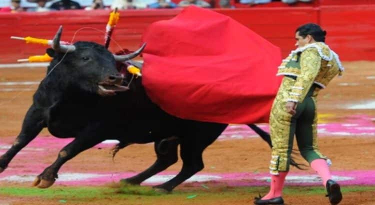 Gobierno de CDMX prohíbe las corridas de toros “con violencia”