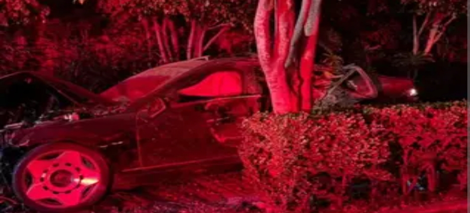 Auto queda destrozado tras chocar contra árboles en Insurgentes Sur