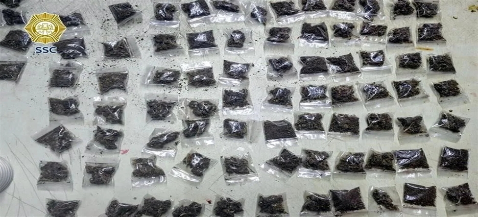 Decomisan más de 900 dosis de droga en cateos realizados en CDMX